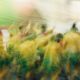 The Best Photo Shows at Les Rencontres d’Arles 2026