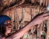 The eco-lodge offering a taste of Borana culture