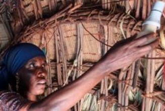 The eco-lodge offering a taste of Borana culture