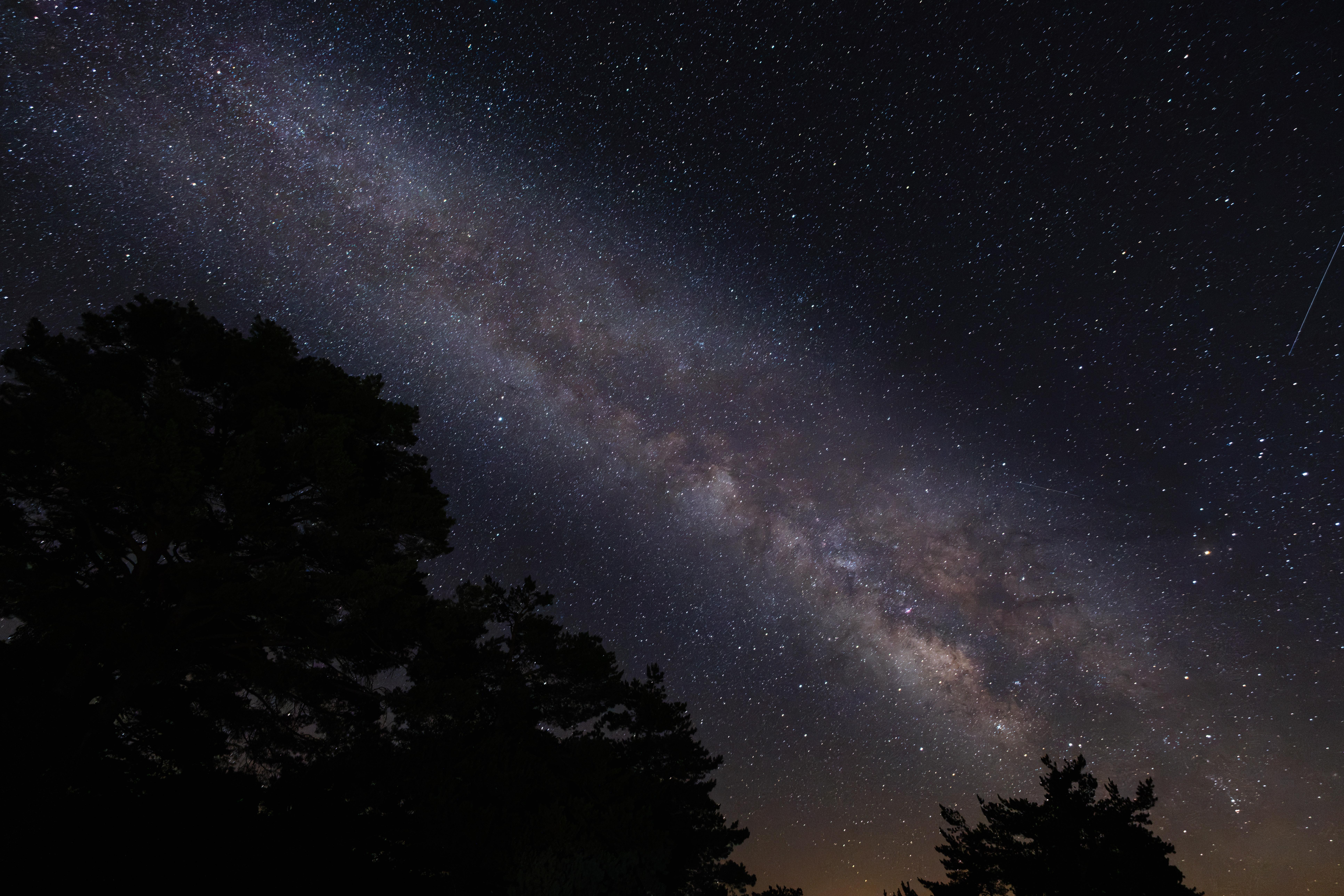 Night sky reveals Milky Way above Turkiye’s Yozgat forest