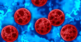 Trump Administration’s CDC Cuts Under Fire After Cyclospora Outbreak
