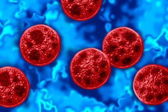 Trump Administration's CDC Cuts Under Fire After Cyclospora Outbreak