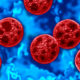 Trump Administration's CDC Cuts Under Fire After Cyclospora Outbreak