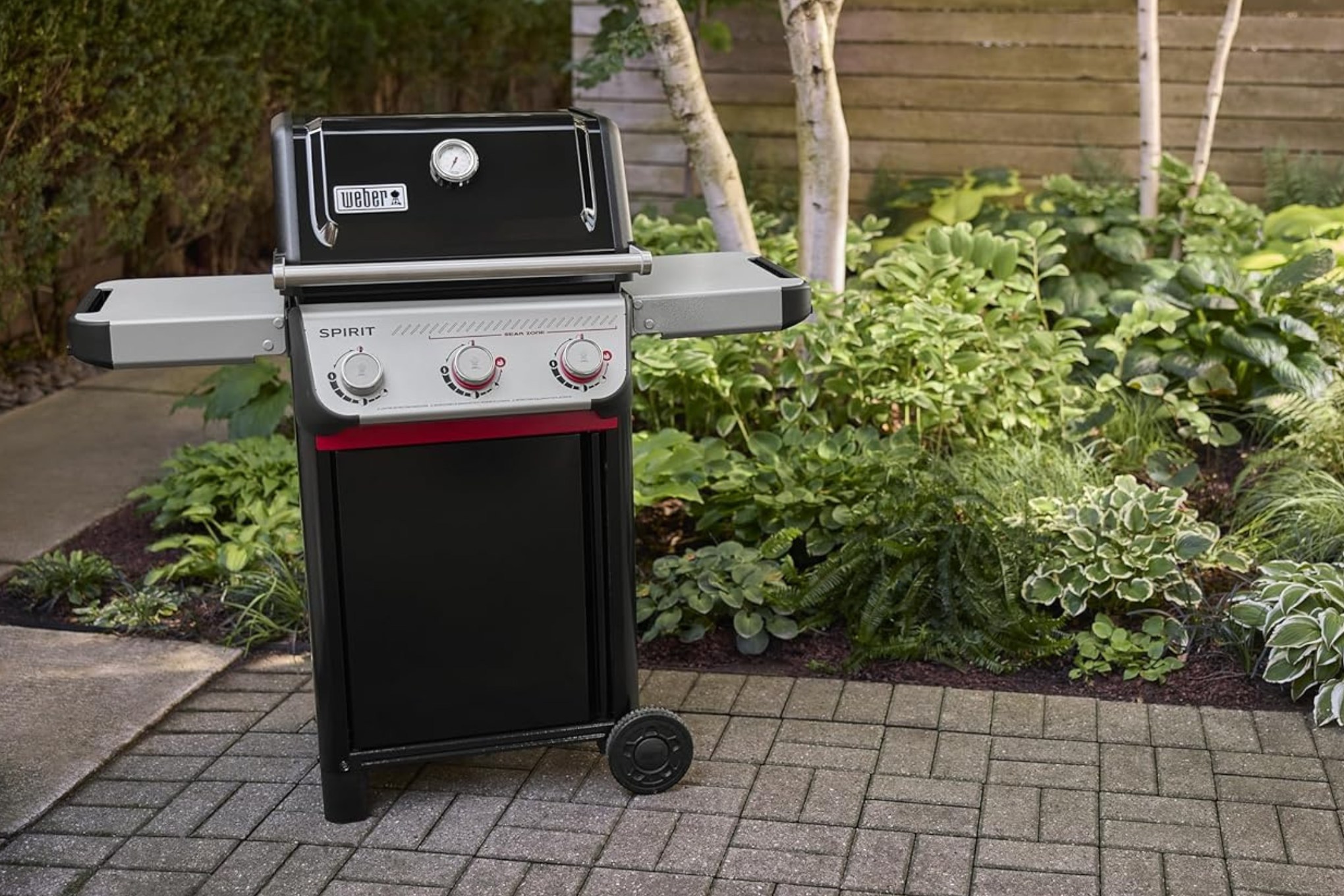 Weber Spirit E325 deal image