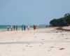 Why Diani and Watamu are luring land buyers