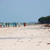 Why Diani and Watamu are luring land buyers