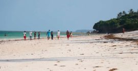 Why Diani and Watamu are luring land buyers
