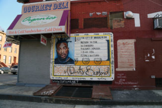 Wu-Tang Clan's Ol' Dirty Bastard Honored With Brooklyn Street Naming