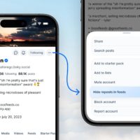 Bluesky now lets you hide reposts from that annoying person you follow