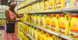 Cooking oil prices climb back to highs of 2022 crisis