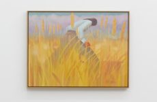 Geoff McFetridge Invites You to Slow Down in ‘Grasslands’