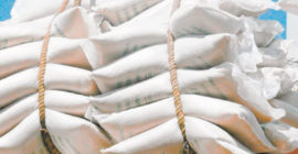 Kenya audits informal sugar imports amid market distortion