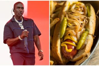 Malice Of Clipse Accused Of Thieving A Glizzy In Chicago