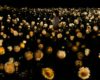 teamLab Transforms Osaka's Sunflowers Into an Interactive Ecosystem
